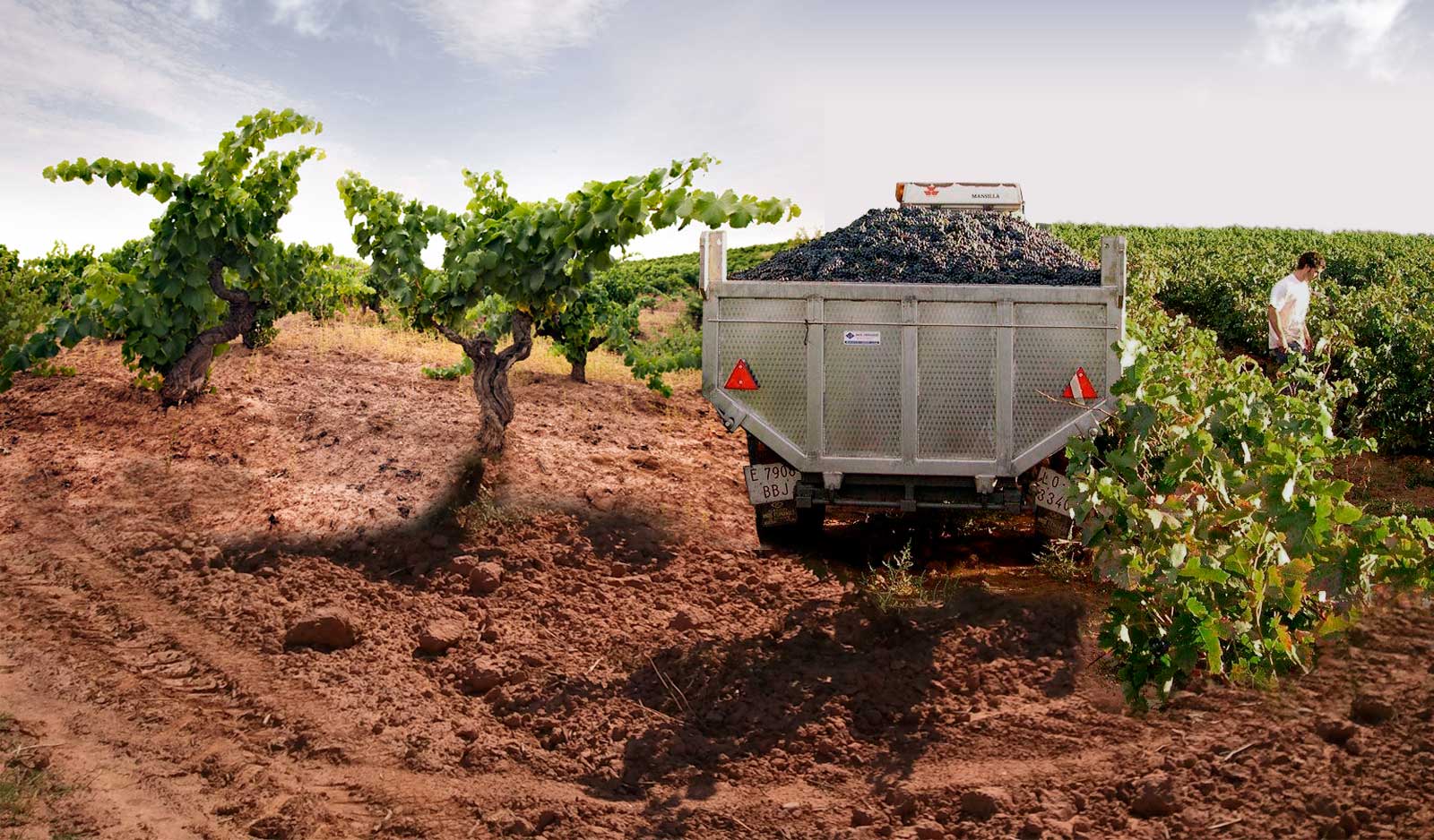 cabeceraCEPAS INTERIORES