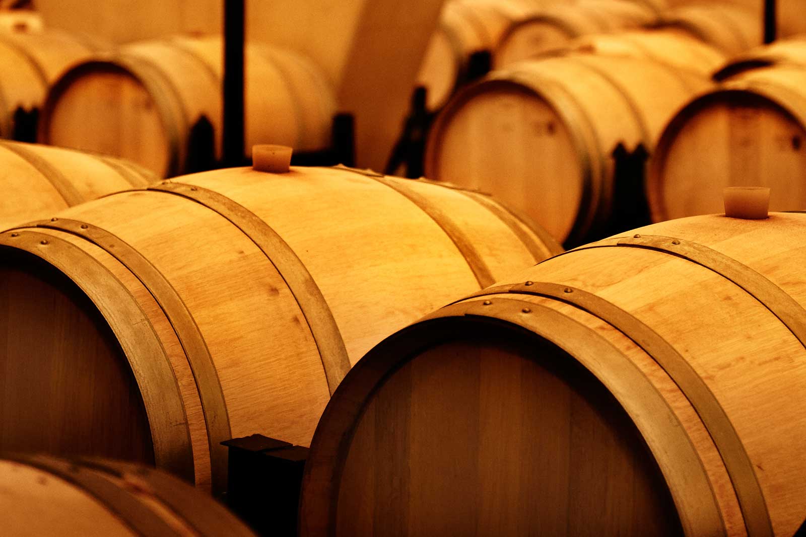 cabeceraContacto INTERIORES